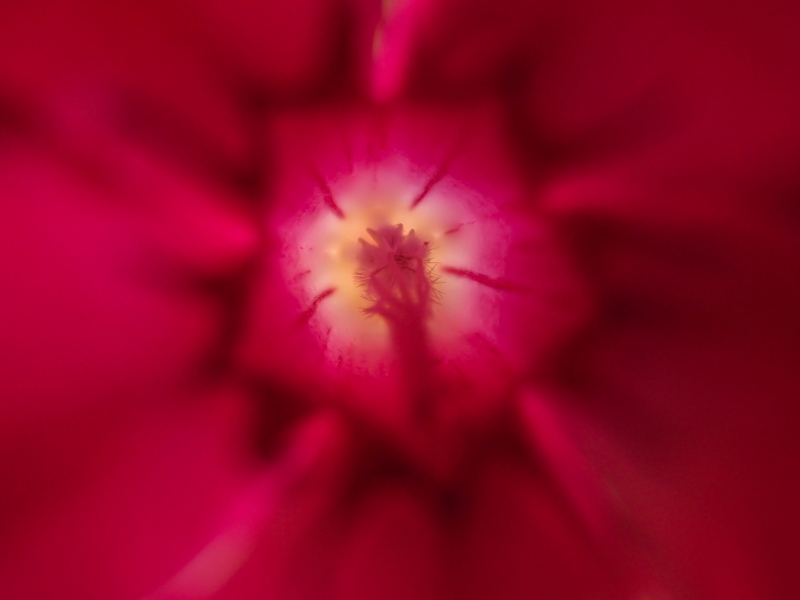 Abstract-1