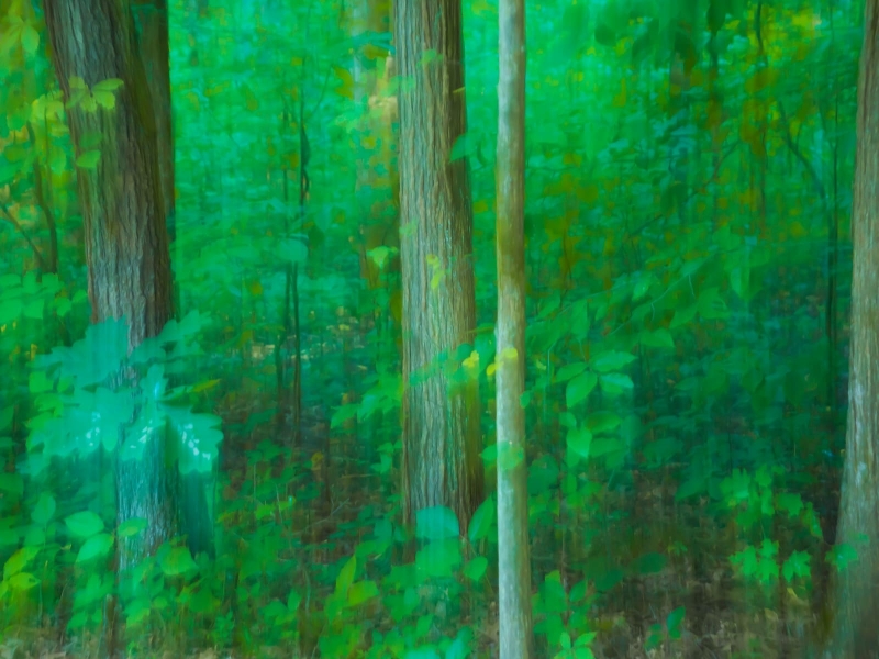abstract 11
