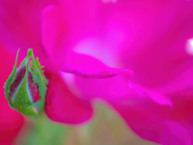 abstract-14