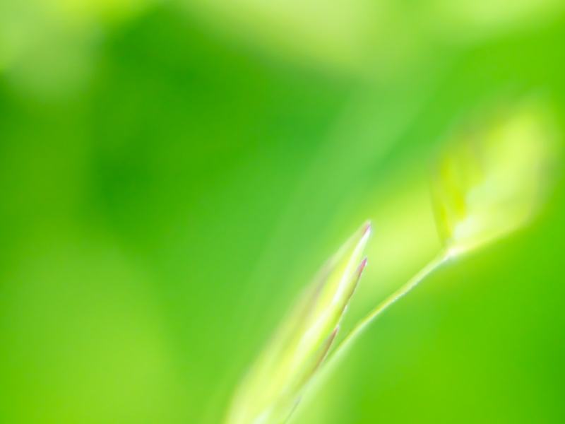 abstract 2