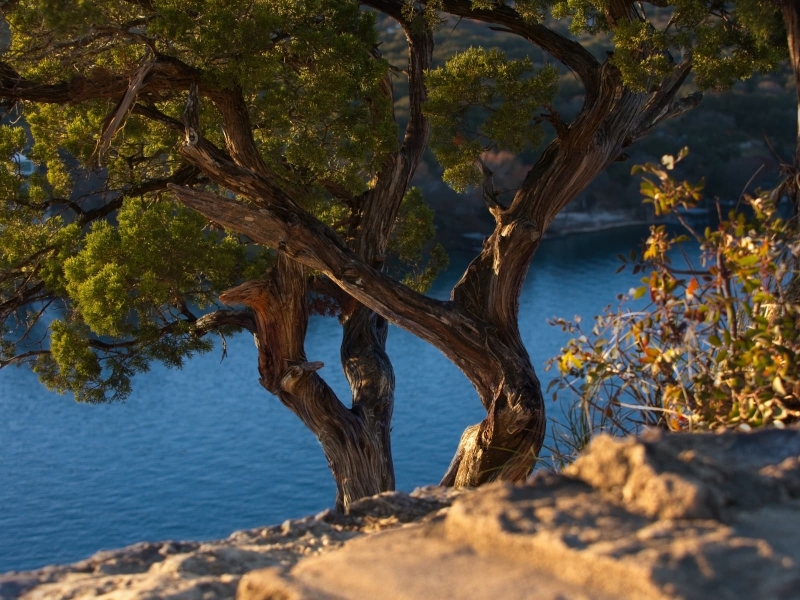 landscape-16
