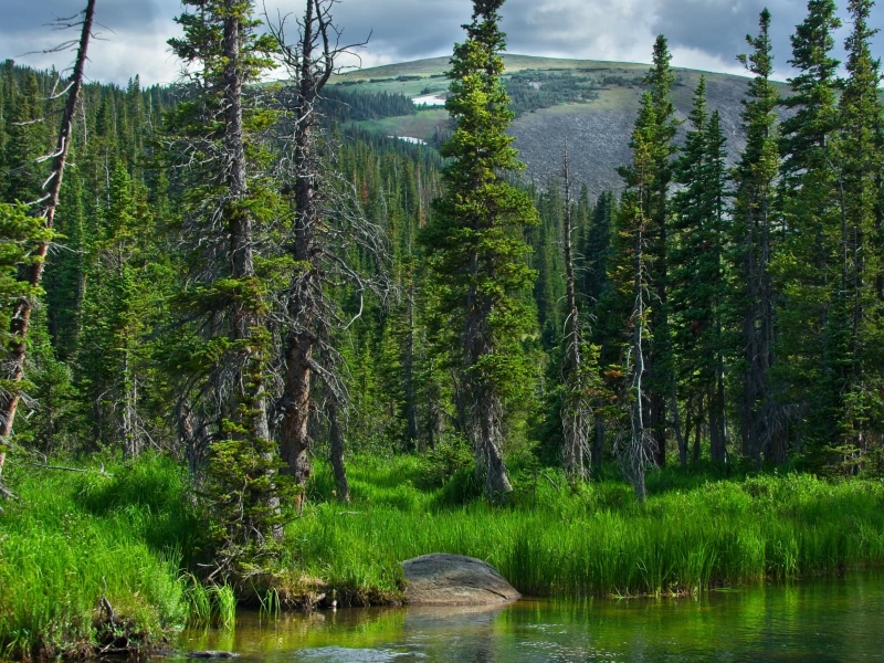 landscape-20