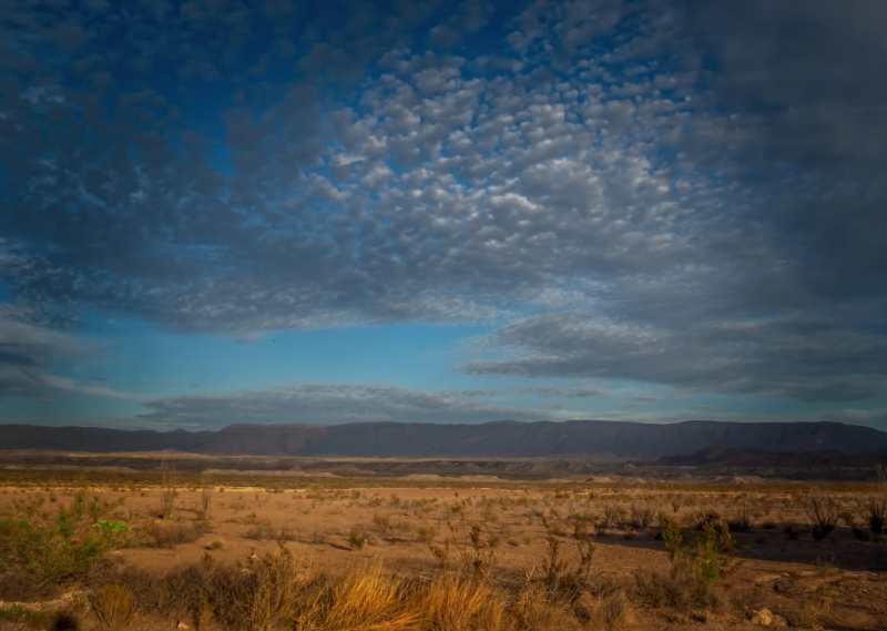 landscape-8