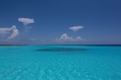 sea-1