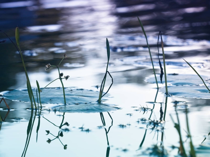 water-12