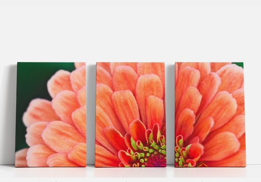 512x341